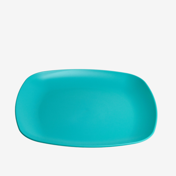 Reuseable Plate